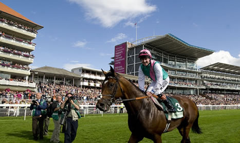 FRANKEL – Officially The Best