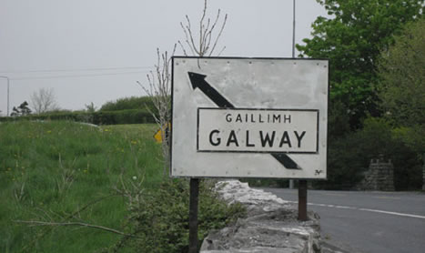 SHAMROCK Tues: Galway NAP