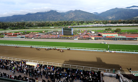 SHAMROCK Sat: Breeders’ Cup Day Two