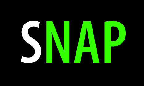 SNAP: NAP AND NAP