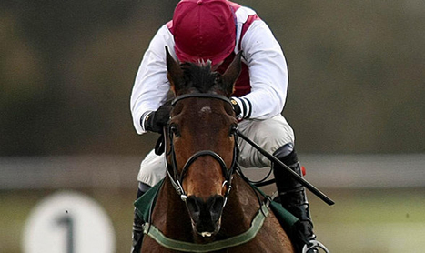 SHAMROCK on Wednesday