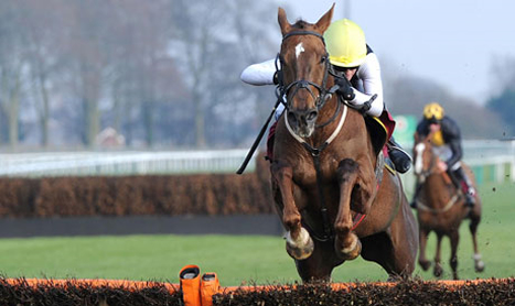 DAQMAN Sat: Haydock NAP