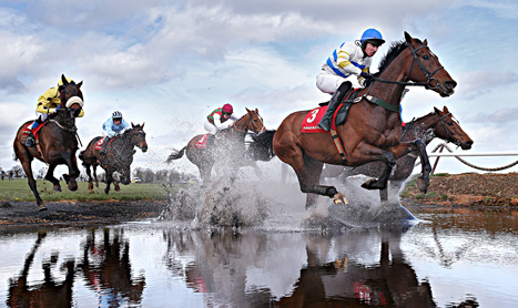 SHAMROCK Weds: Punchestown Special