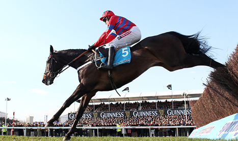 SHAMROCK Tues: Punchestown Special
