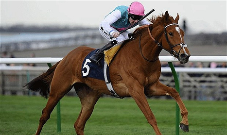 DAQMAN Sun: 1000 Guineas Day Preview