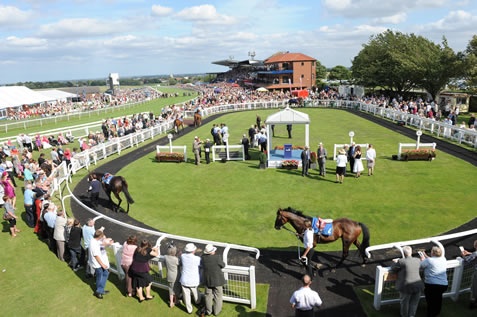 DAQMAN Tues: Busatto at Beverley