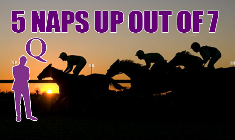 DAQMAN Tues: 6.0 Best Bet at Beverley