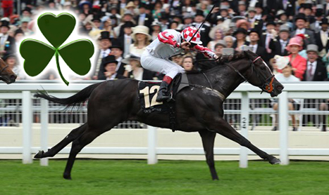 SHAMROCK Tues: Irish Royal Ascot