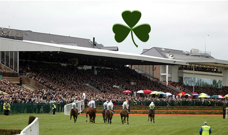 SHAMROCK Tues: Punchestown Day One