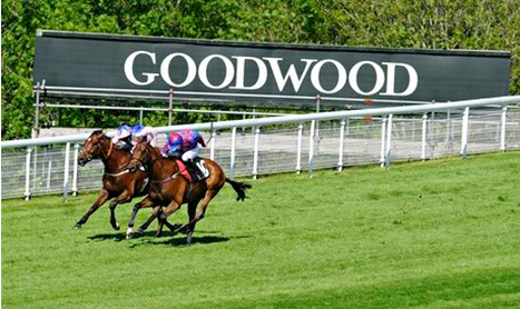 MULTIMAN Tues: Goodwood Double to get back on form
