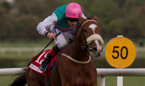 SHAMROCK Tues: Non Runners grow ahead of Champions Day