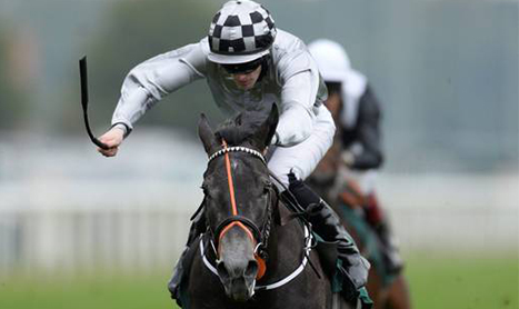 SHAMROCK Fri: Irish Raiders for Future Champions Day