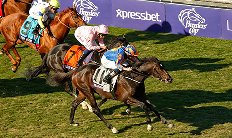 SHAMROCK Tues: On the Breeders Cup