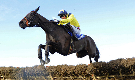 SHAMROCK Tues: Quality Jumping at Fairyhouse