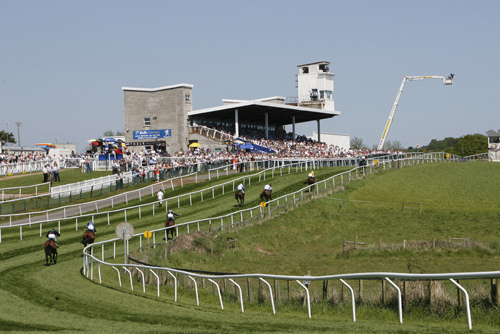SHAMROCK Weds: Heading for a Four Timer