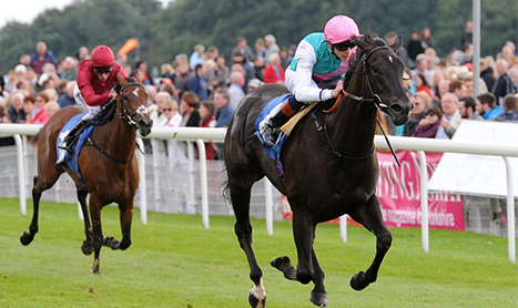 MULTIMAN Thurs: 5/1 York Double