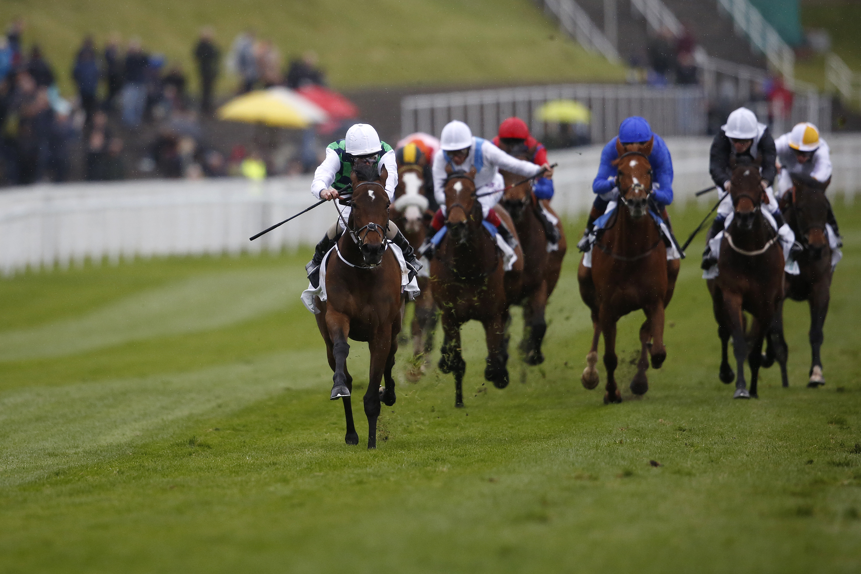 SHAMROCK Fri: A Classic Win for Ballydoyle?