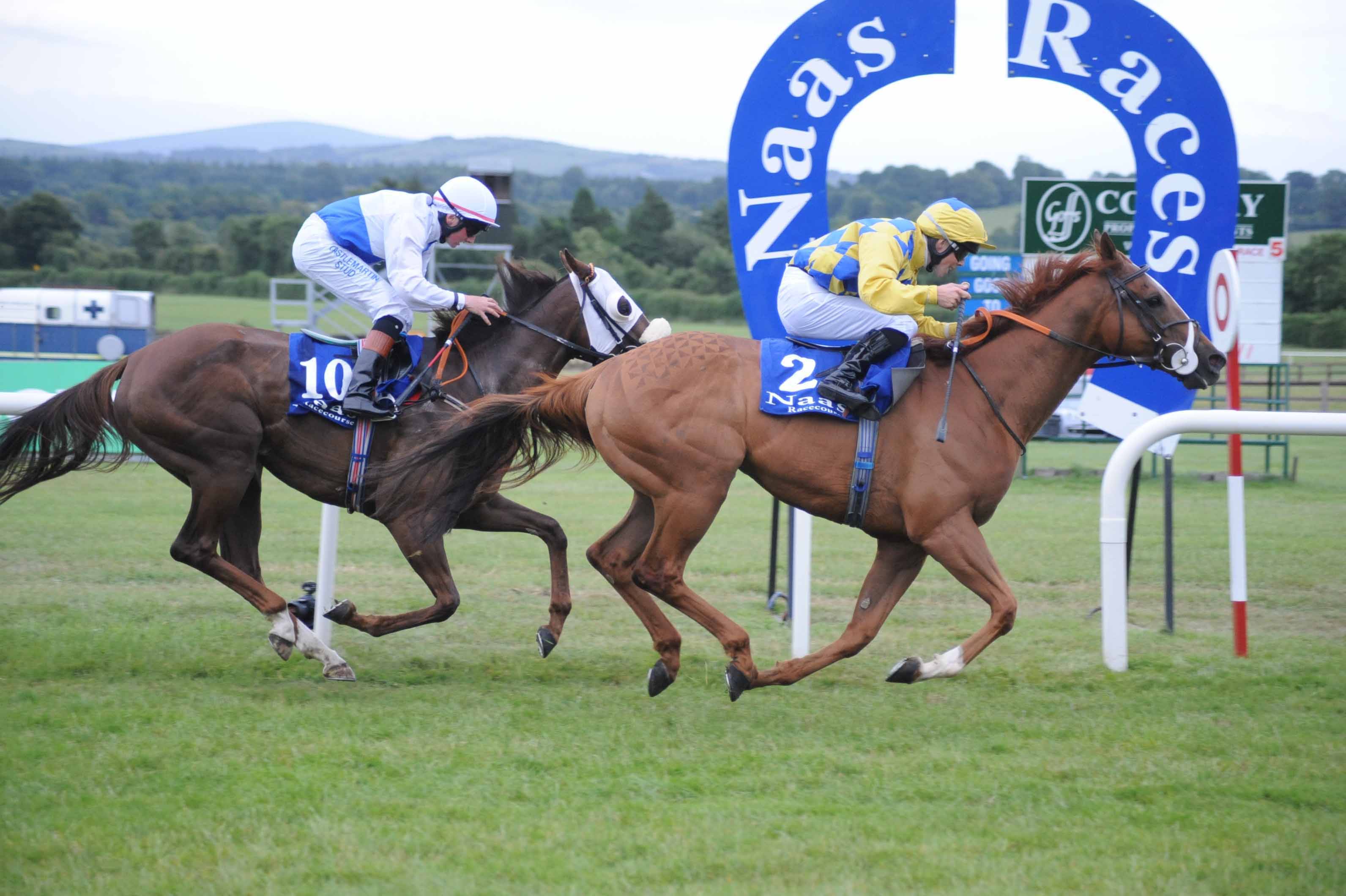 SHAMROCK Weds: Oaks Trial at Naas