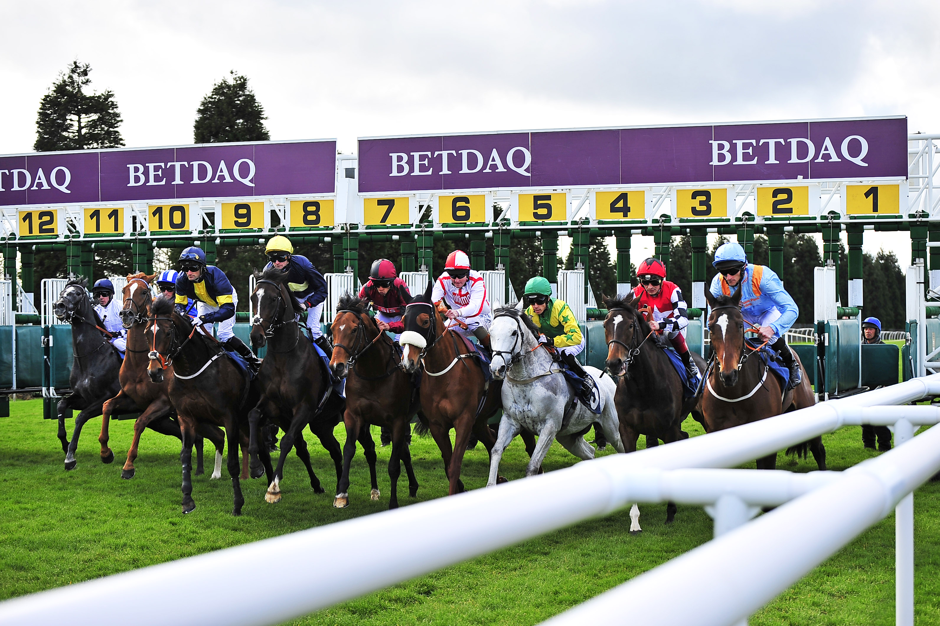 MULTIMAN Weds: Lingfield – Leicester Treble