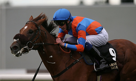 SHAMROCK Mon: Keen Nap at Ballinrobe