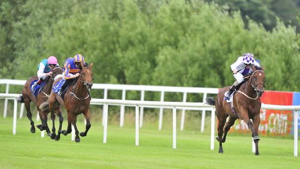 SHAMROCK Thurs: Leopardstown Nap & NB