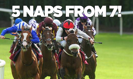 SHAMROCK Tues: First Day Winning Nap