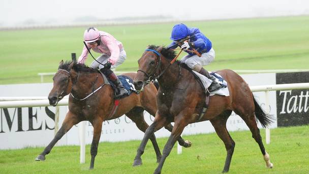 SHAMROCK Mon: Classic Clues at The Curragh
