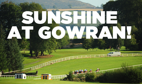 SHAMROCK Weds: Listed Action in Gowran