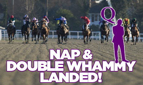DAQMAN Tues: The Nap is at Beverley