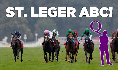 DAQMAN Weds: Watch the Headline Horses