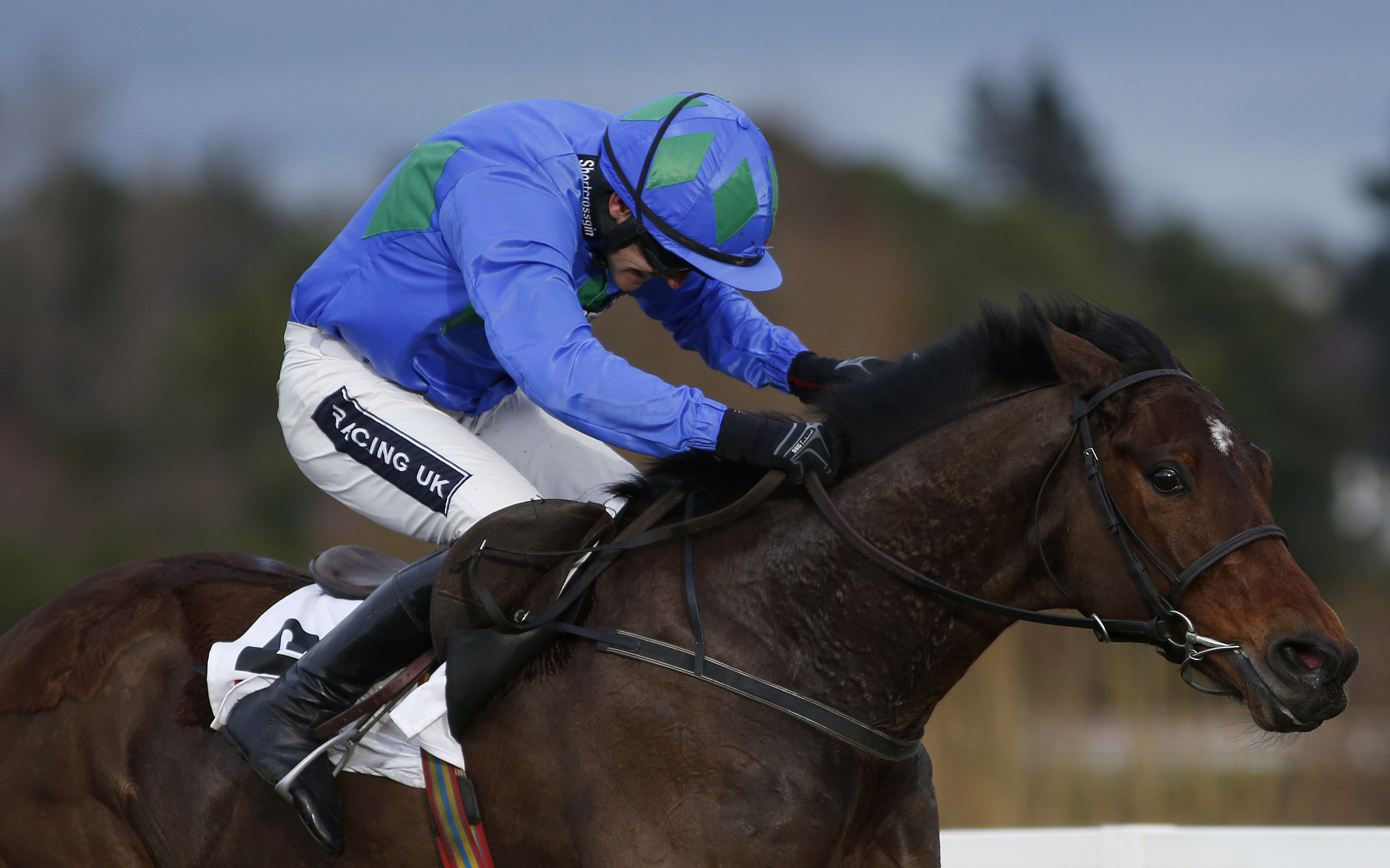 SHAMROCK Tues: Happy Retirement Hurricane Fly