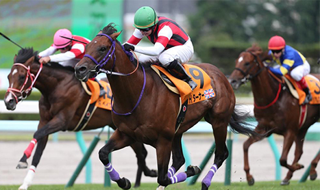 HAYLEY TURNER: What a Weekend!