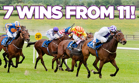 SHAMROCK Weds: Nap and Lay at Naas