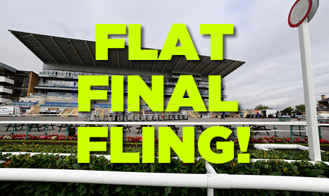 DAQMAN Sat: Flat and Jumps NAPS