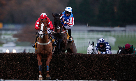 SHAMROCK Tues: Tingle Creek Appeal