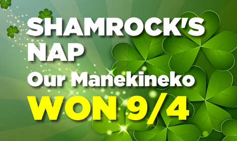 SHAMROCK Thurs: Thurles NAP