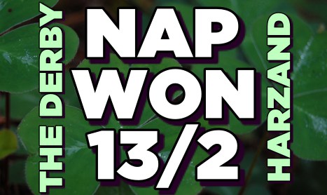 SHAMROCK Sun: DERBY NAP WON 13/2