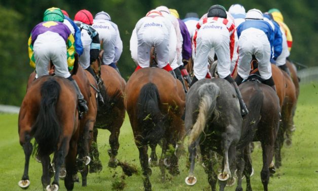 PROFORM Fri: Ascot NAP