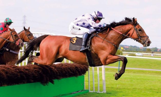 PROFORM Mon: Southwell NAP