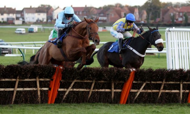 PROFORM Sun: Ayr NAP