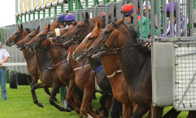 SHAMROCK Weds: Cork NAP