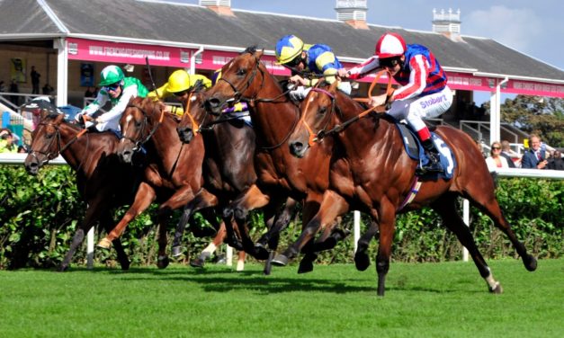 PROFORM Sat: Doncaster NAP