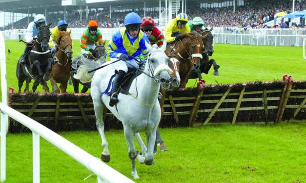 SHAMROCK Tues: Galway NAP