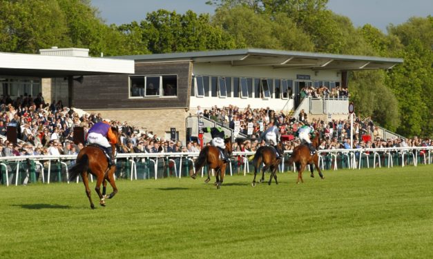 PROFORM Sun: Huntingdon NAP