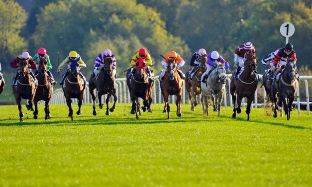 PROFORM Mon: Leicester NAP