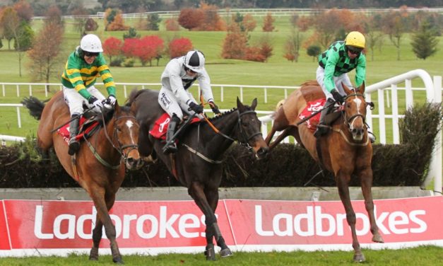 SHAMROCK Sun: NOW 15 out of 25 NAPS!