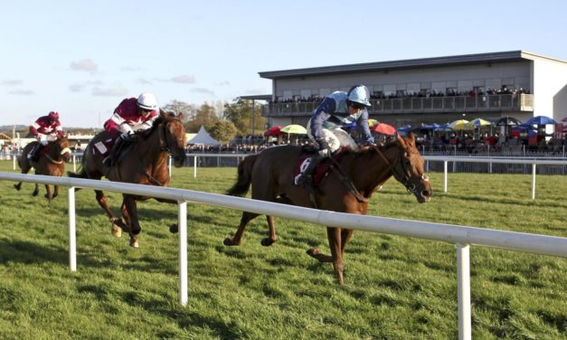 PROFORM Tues: Down Royal NAP