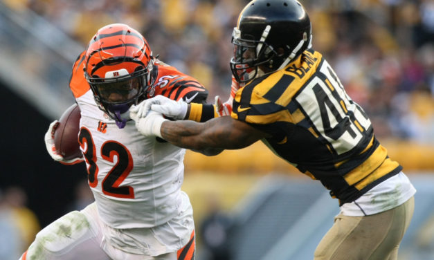 NFL: Week 15 Best Bets