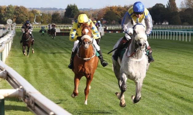 DAQMAN Sun: Aintree NAP