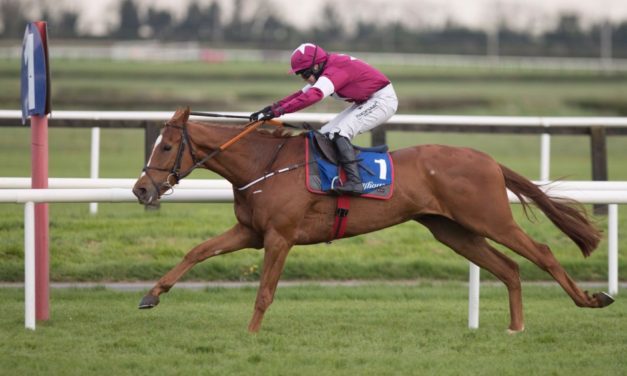 PROFORM Sun: NAVAN NAP